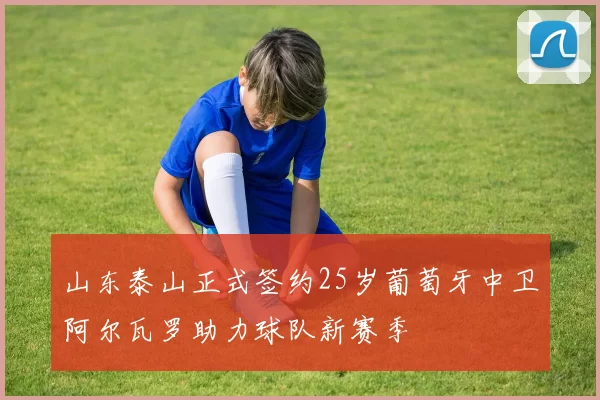 山东泰山正式签约25岁葡萄牙中卫阿尔瓦罗助力球队新赛季